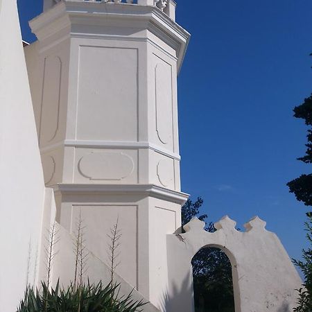 Villa-Chateau Les Terrasses - Tamaris, Plage Des Sablettes, Mer Au Bas De La Propriete La Seyne-sur-Mer Esterno foto