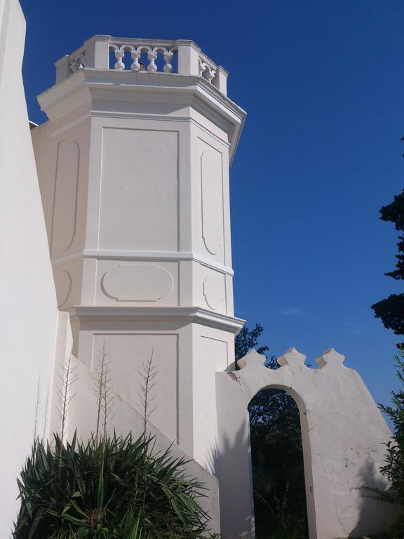 Villa-Chateau Les Terrasses - Tamaris, Plage Des Sablettes, Mer Au Bas De La Propriete La Seyne-sur-Mer Esterno foto