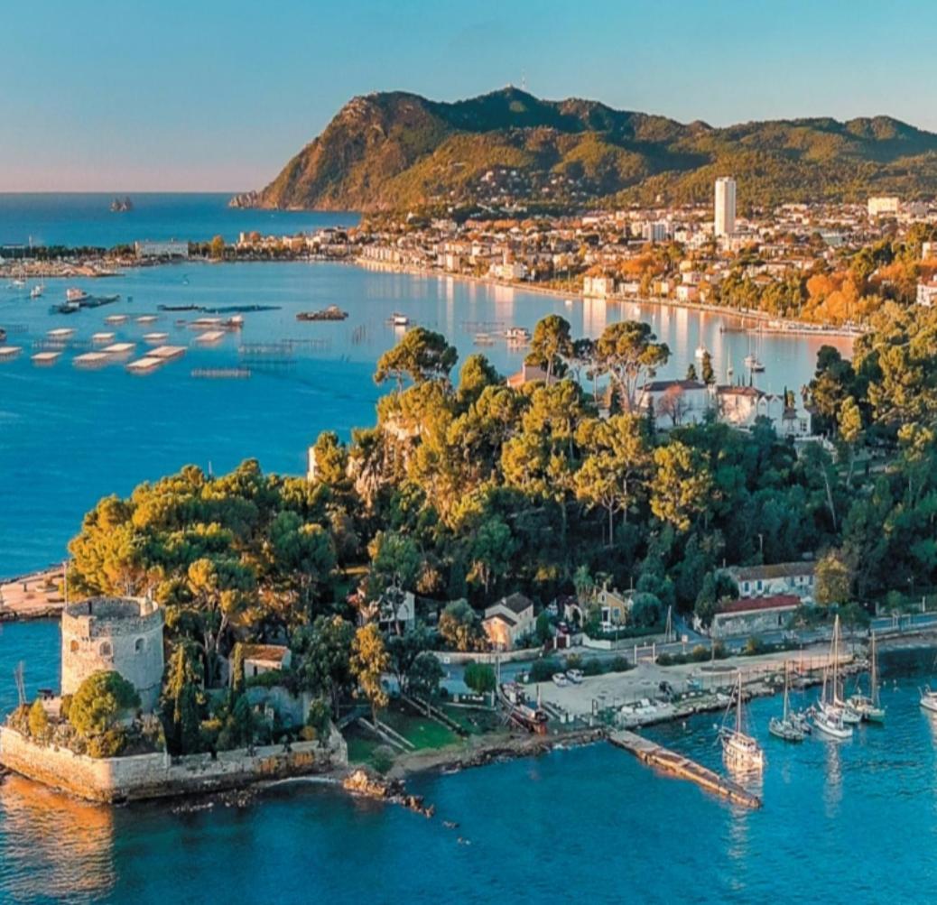 Villa-Chateau Les Terrasses - Tamaris, Plage Des Sablettes, Mer Au Bas De La Propriete La Seyne-sur-Mer Esterno foto