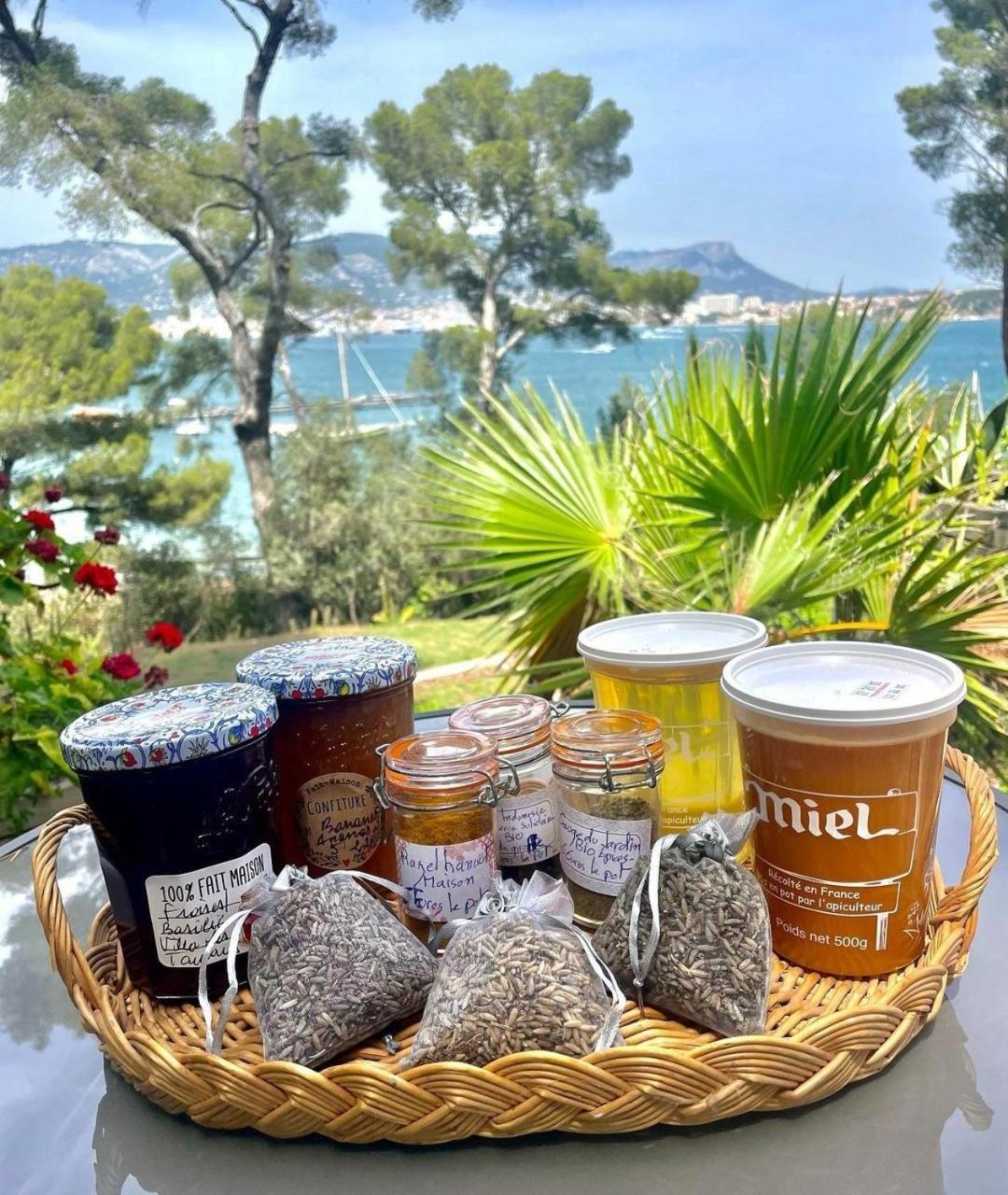 Villa-Chateau Les Terrasses - Tamaris, Plage Des Sablettes, Mer Au Bas De La Propriete La Seyne-sur-Mer Esterno foto