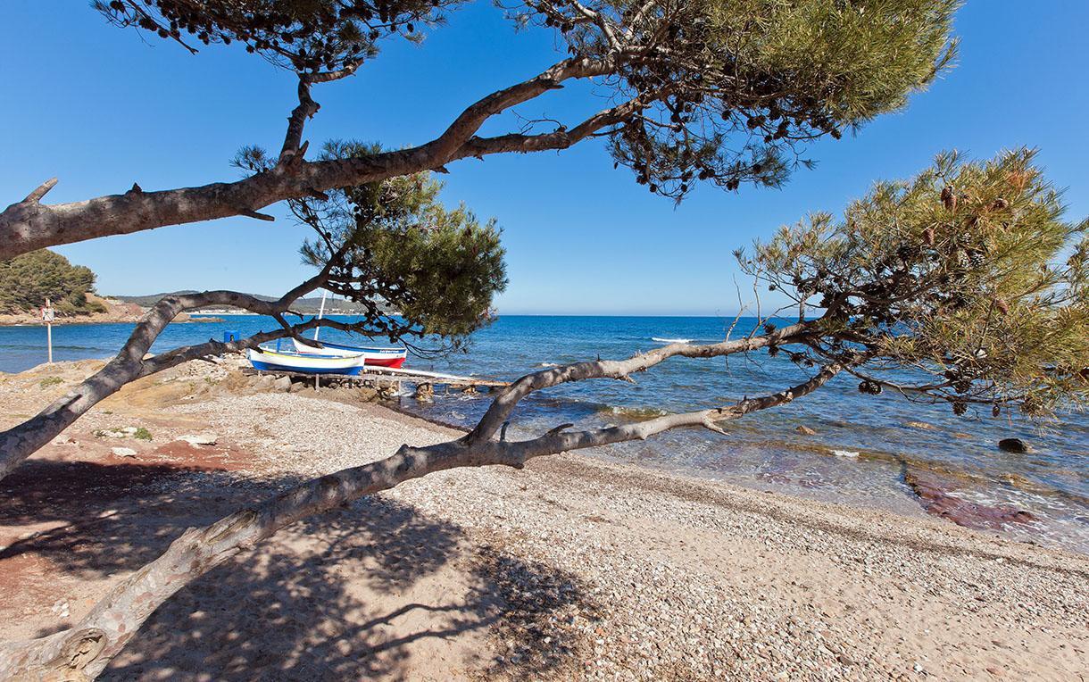 Villa-Chateau Les Terrasses - Tamaris, Plage Des Sablettes, Mer Au Bas De La Propriete La Seyne-sur-Mer Esterno foto